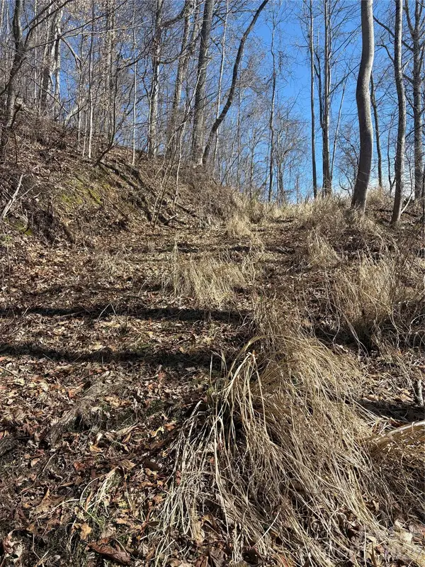 344 Running Deer Lane #71, Mars Hill, NC 28754