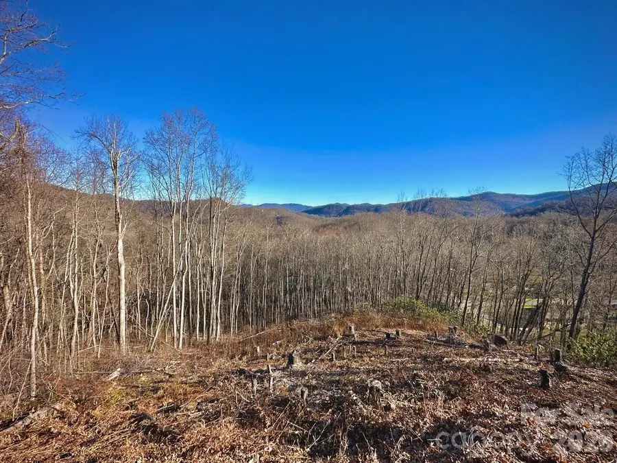 3 Mountain Watch Drive, Waynesville, NC 28785 - #3