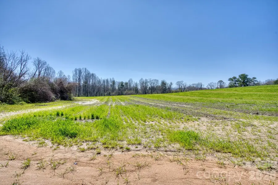 TBD Mohican Trail, East Flat Rock, NC 28726 - #3