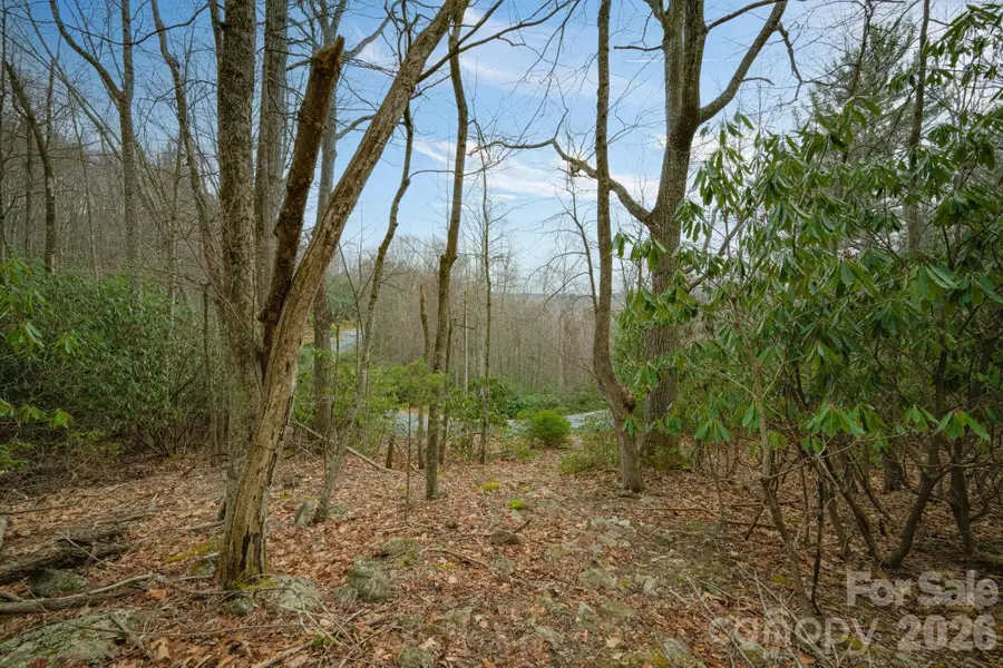 288 Poplar Drive #370, Beech Mountain, NC 28604 - #3
