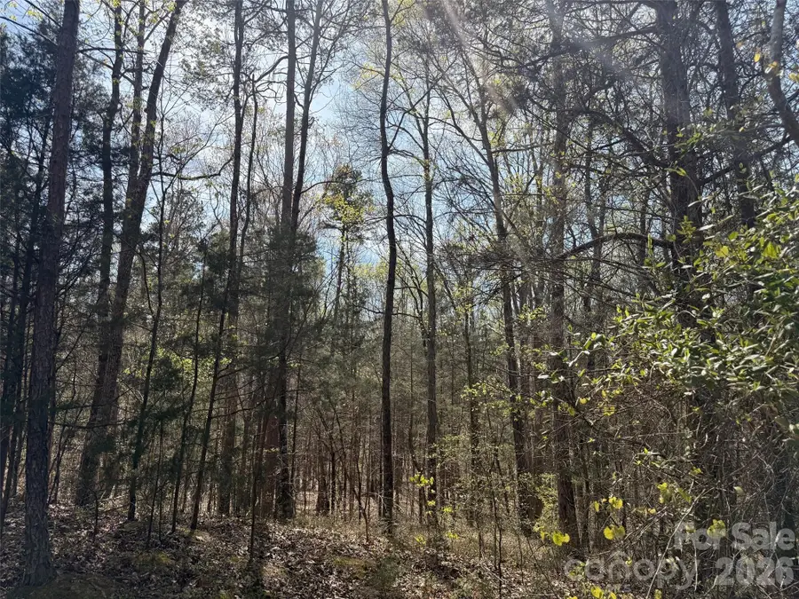 6223 Twining Vine Court, Kannapolis, NC 28081 - #3