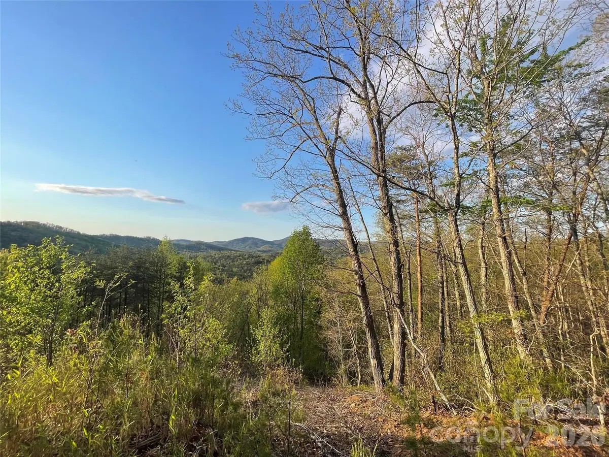 45 Woodgate Drive, Bostic, NC 28018 - #1