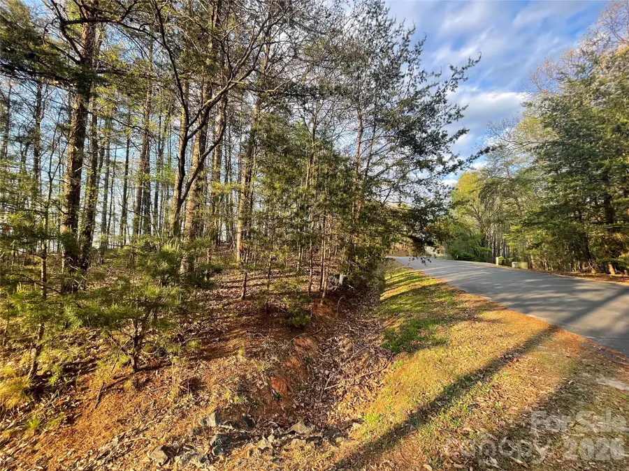 45 Woodgate Drive, Bostic, NC 28018 - #2