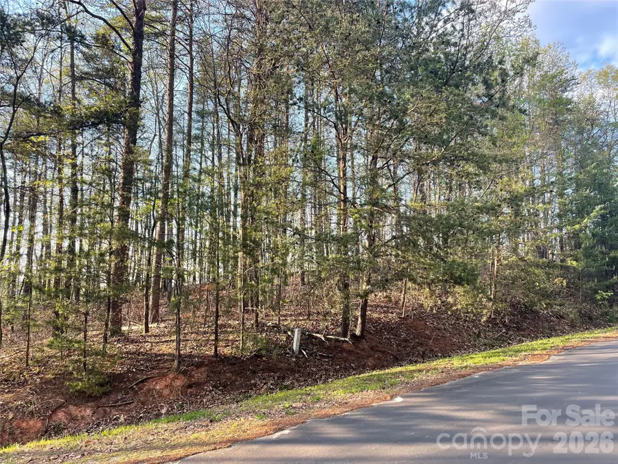 45 Woodgate Drive, Bostic, NC 28018 - #3