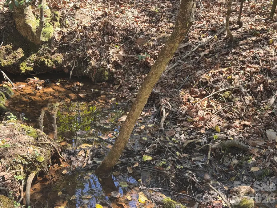 335 Woodrow Hoyle Road, Casar, NC 28020 - #2