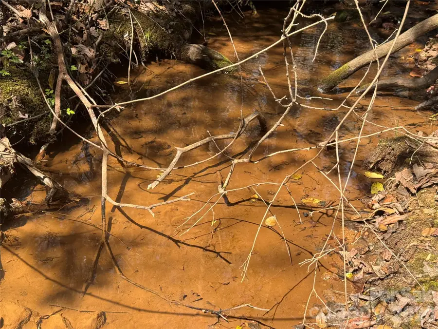 335 Woodrow Hoyle Road, Casar, NC 28020 - #3