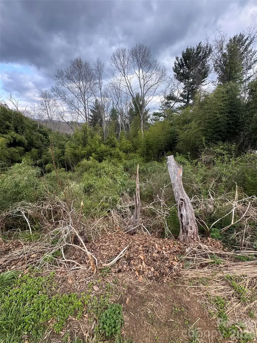 38 Belleair Road, Asheville, NC 28806 - #2