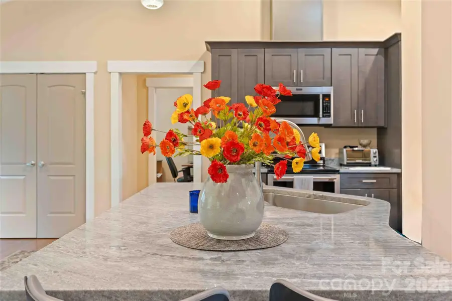 806 Blacksmith Run Drive, Hendersonville, NC 28792 - #3