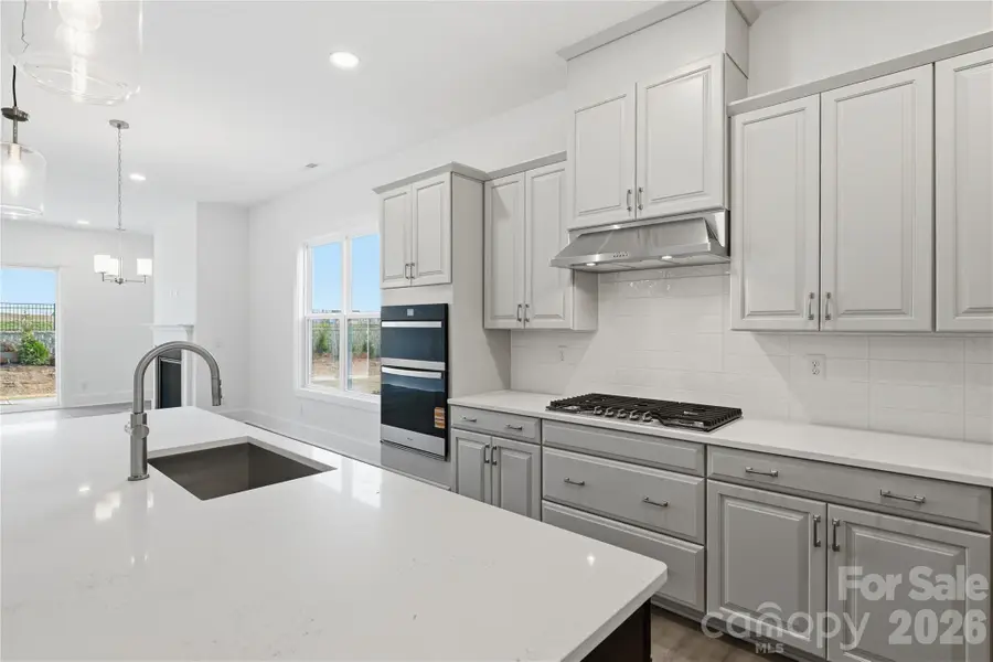 1043 Pinecone Avenue, Indian Land, SC 29707 - #3