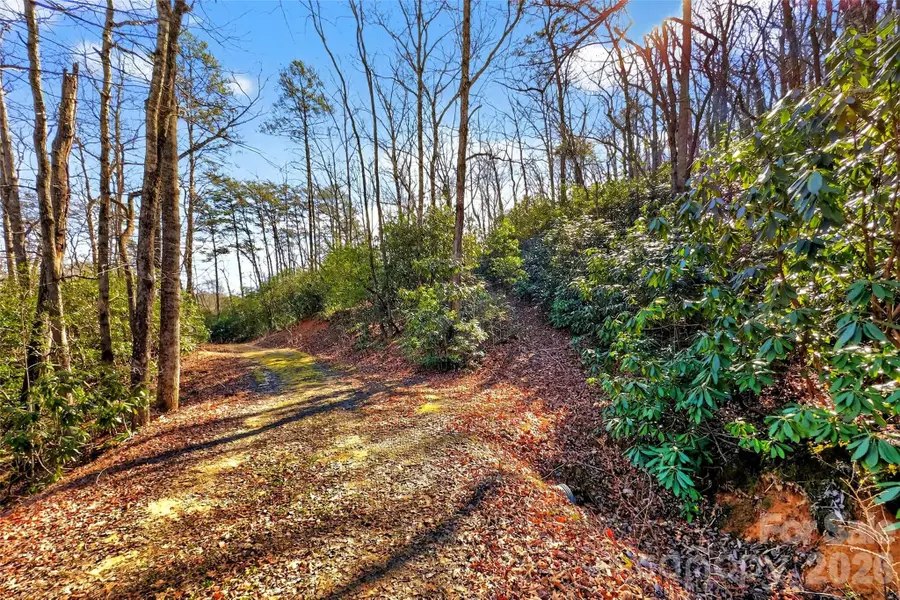 301 Black Pine Drive, Old Fort, NC 28762 - #2