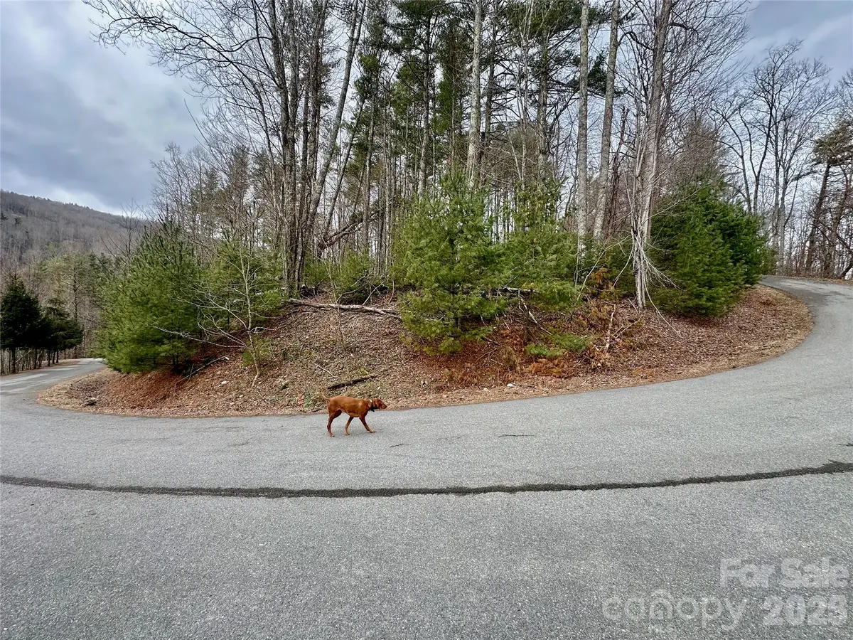 TBD Mantera Ridge, Sugar Grove, NC 28679 - #1