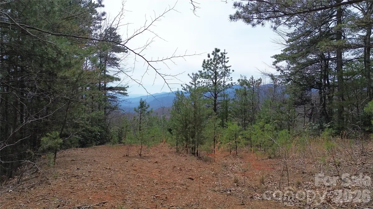 850 Harmonys Edge Drive #850, Old Fort, NC 28762 - #1