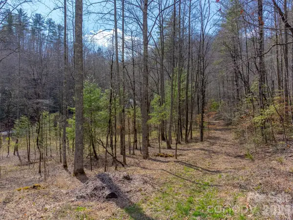 47.52 ac Little Snowbird Road, Robbinsville, NC 28771