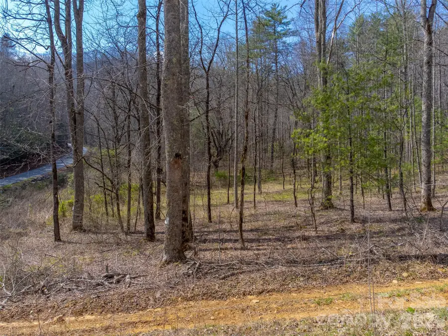 47.52 ac Little Snowbird Road, Robbinsville, NC 28771 - #3