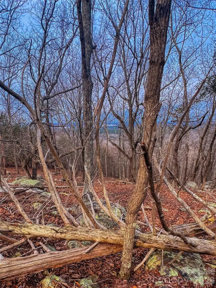 2243 Sierra Trace Road, Denton, NC 27239 - #2