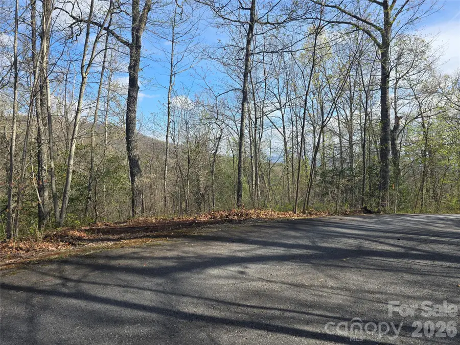 Lots 82 & 83 Waterdance Drive, Tuckasegee, NC 28783 - #2