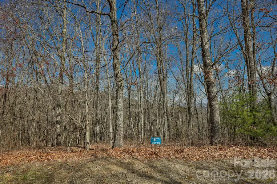 Lot 85 Waterdance Drive, Tuckasegee, NC 28783 - #3