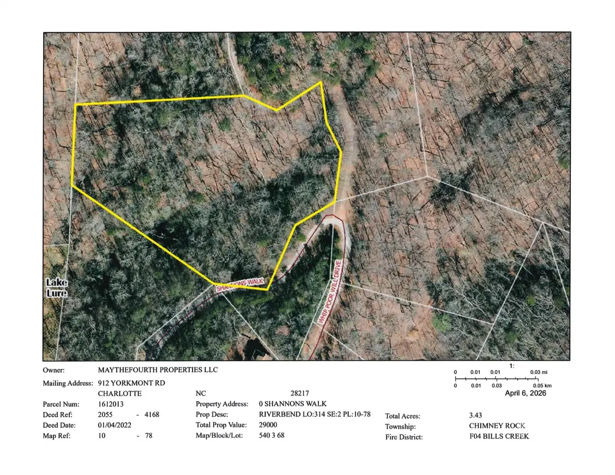 101 Shannons Walk #314, Lake Lure, NC 28746 - #1