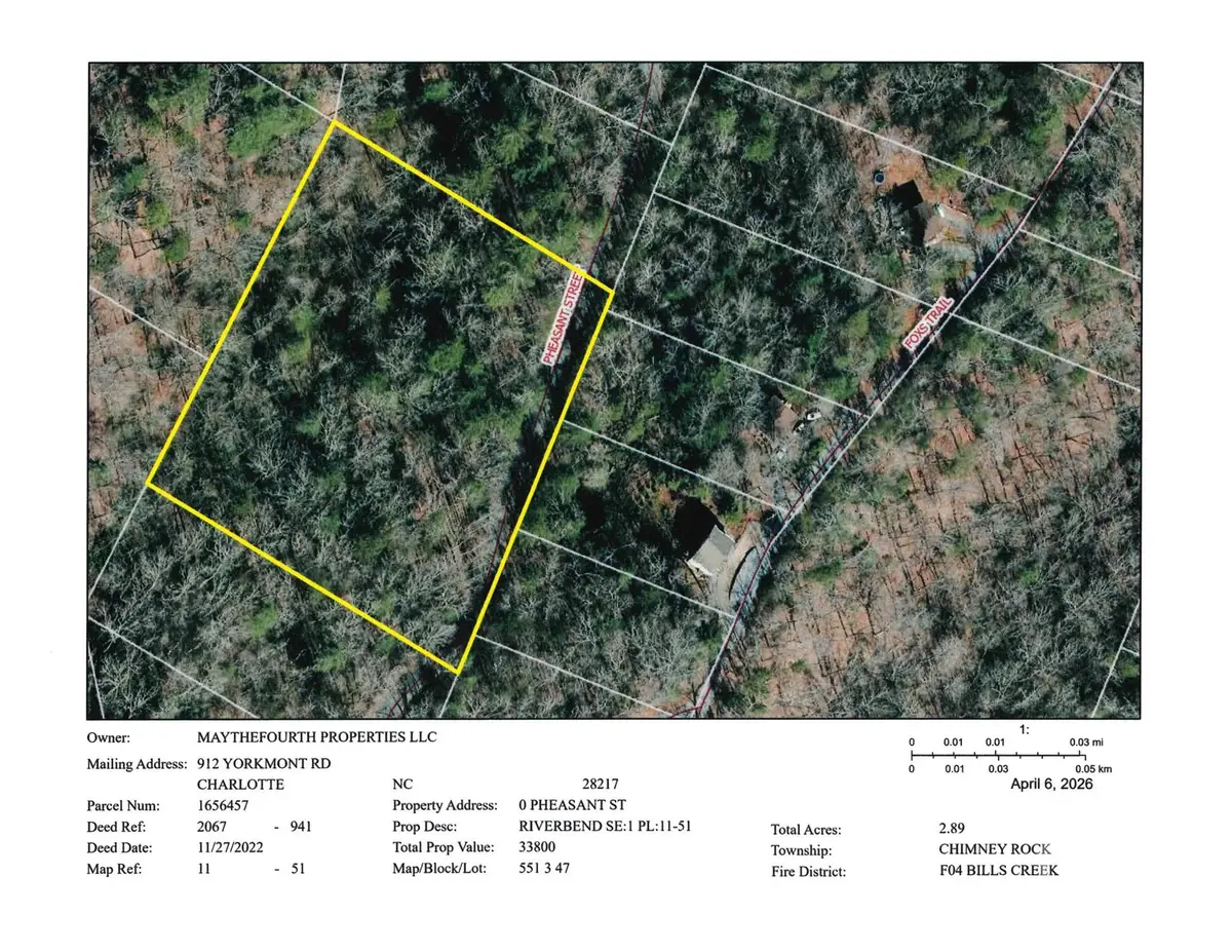 0 Pheasant Street #51, Lake Lure, NC 28746 - #1