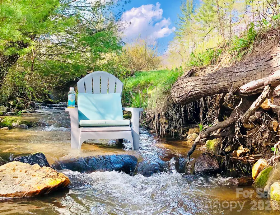 3 Taproot Trail, Barnardsville, NC 28709 - #3