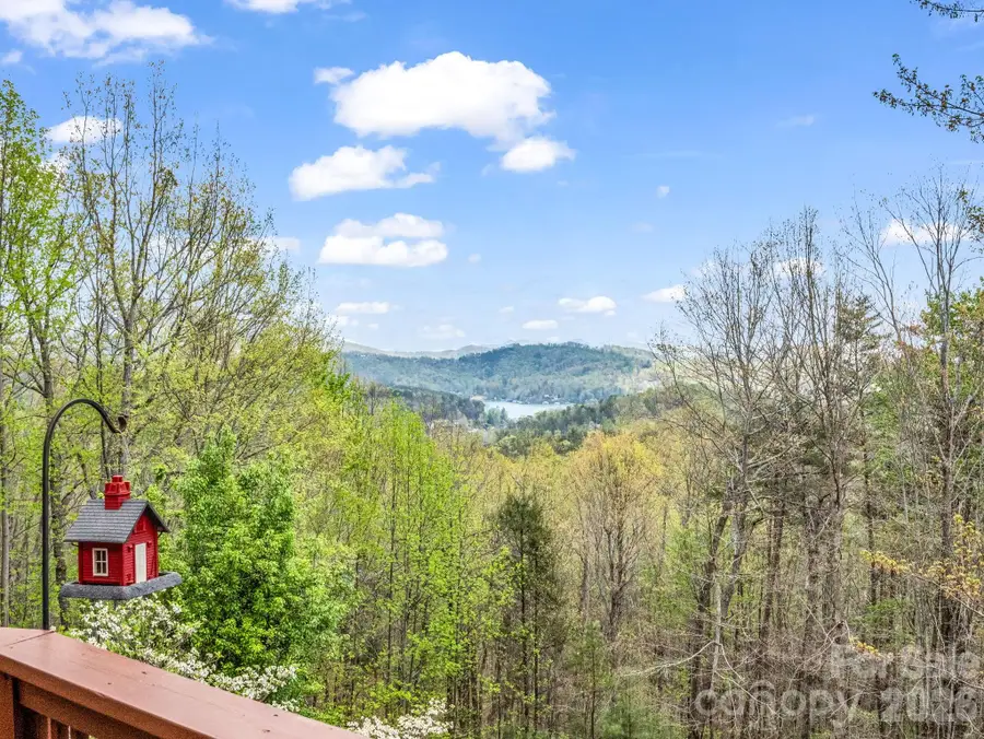 197 Thomas A Edison Road, Lake Lure, NC 28746 - #3