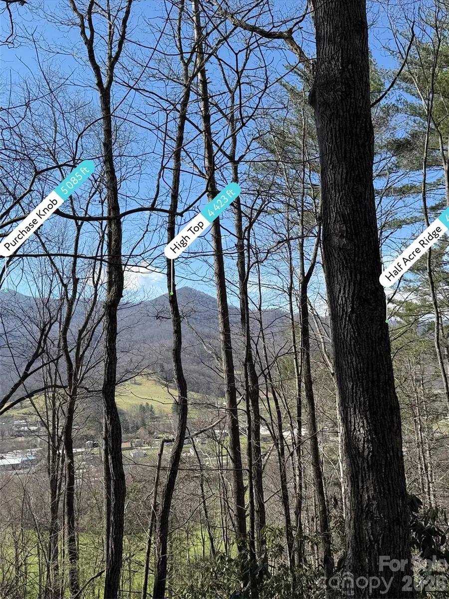 204 Minerva Drive #11, Waynesville, NC 28785 - #3