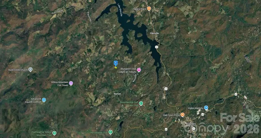 45 Pumpkin Lane, Cashiers, NC 28717 - #3