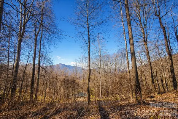 4 Buckeye Road #63, Maggie Valley, NC 28751
