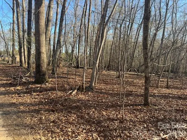 2603 Hickman Road, Maiden, NC 28650 - #2