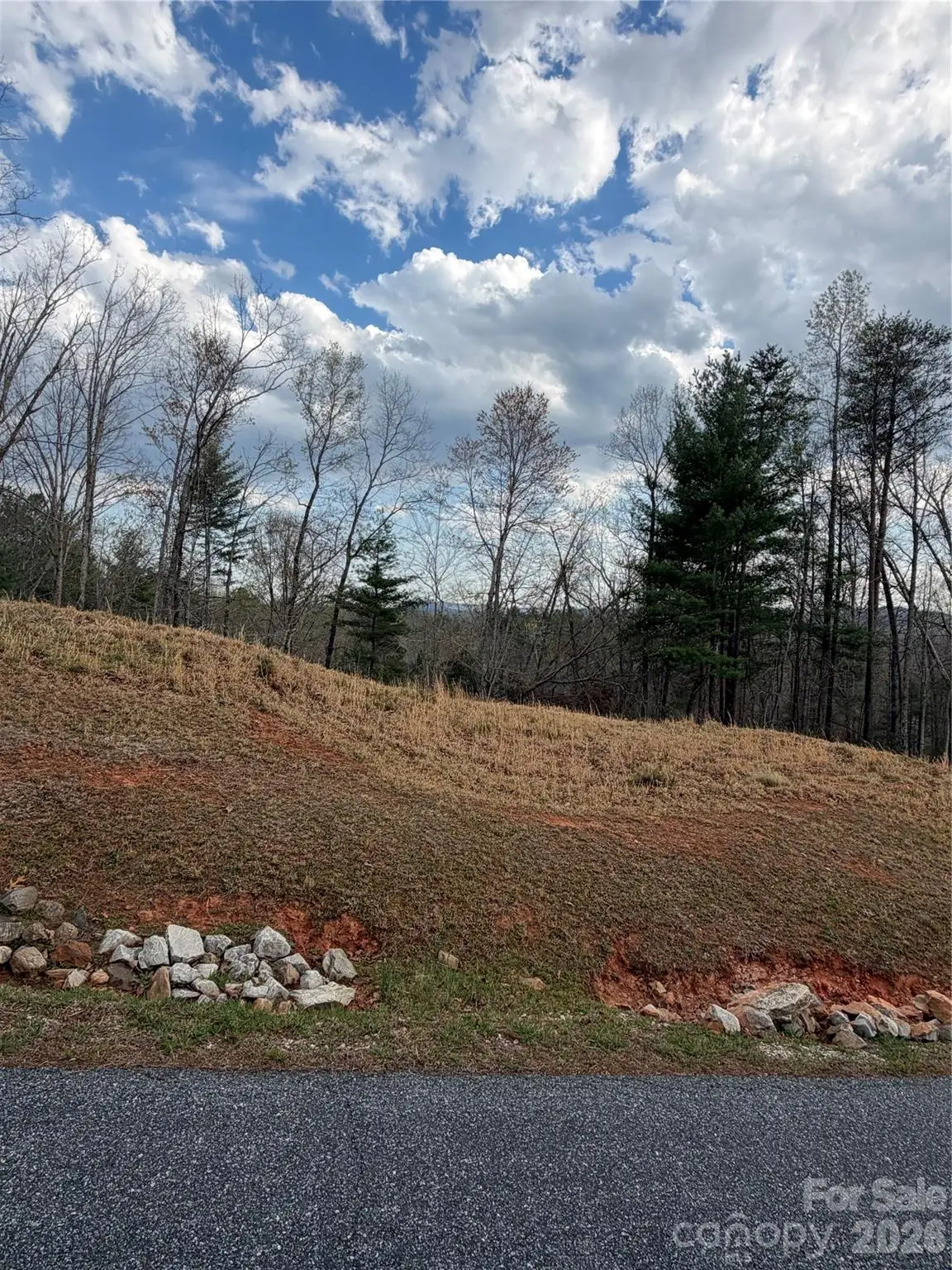 0000 High Trail Drive, Nebo, NC 28761 - #1