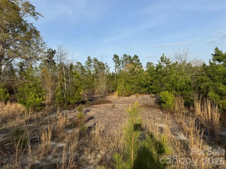 00 Mcqueen Road, Patrick, SC 29584 - #2