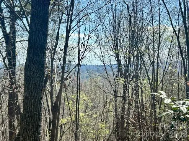 TBD Connelly Springs Road #6, Lenoir, NC 28645 - #1
