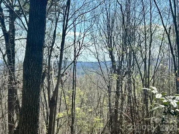 TBD Connelly Springs Road #6, Lenoir, NC 28645