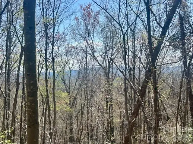 TBD Connelly Springs Road #6, Lenoir, NC 28645 - #2