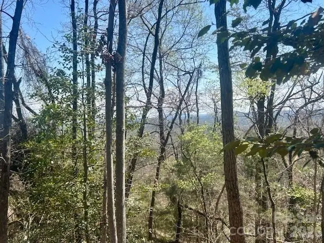 TBD Connelly Springs Road #6, Lenoir, NC 28645 - #3