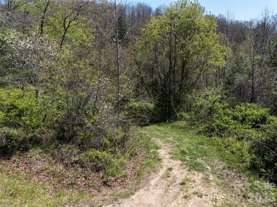 Lot 43 Sunnybrook Trail, Clyde, NC 28721 - #3