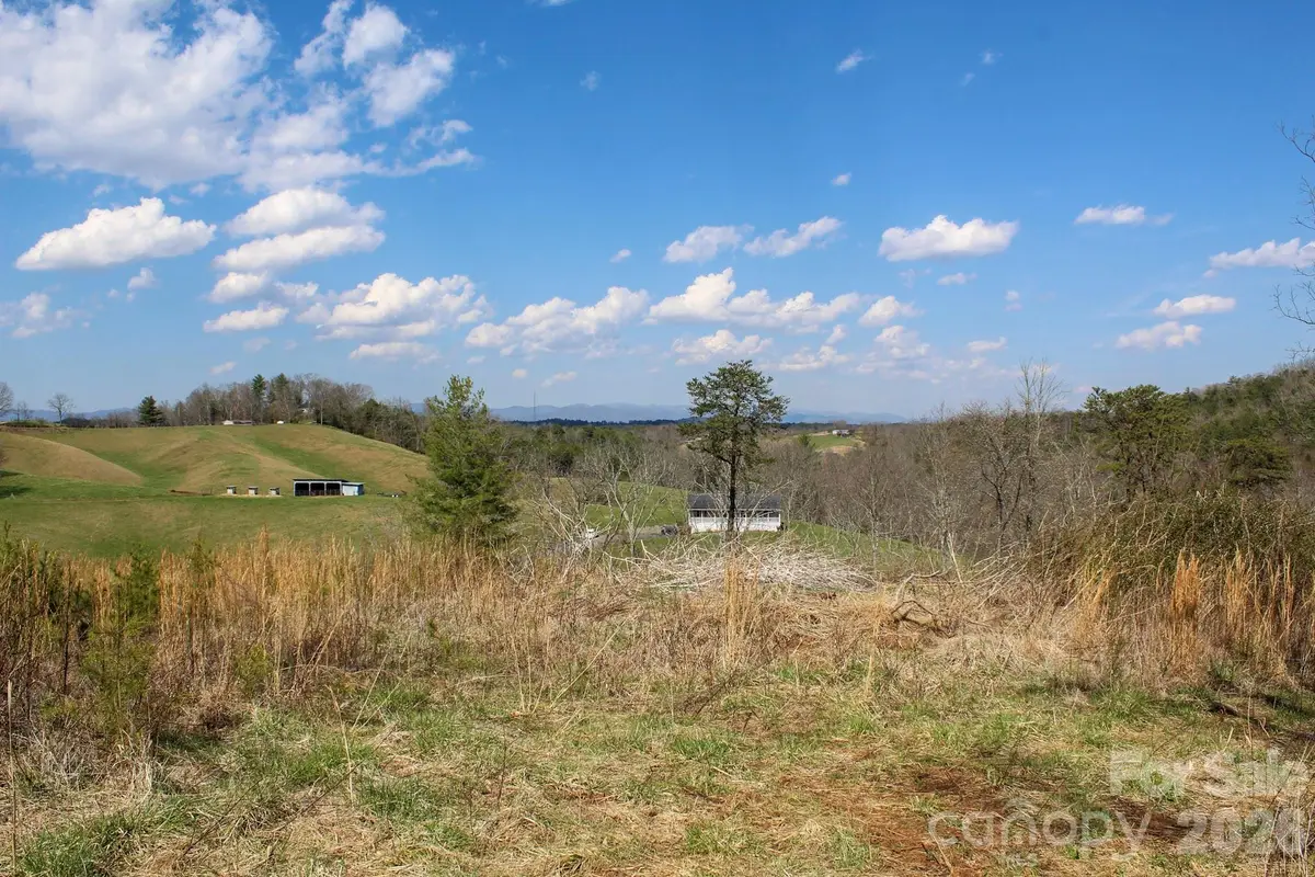 99999 Fletcher Martin Road, Alexander, NC 28701 - #1