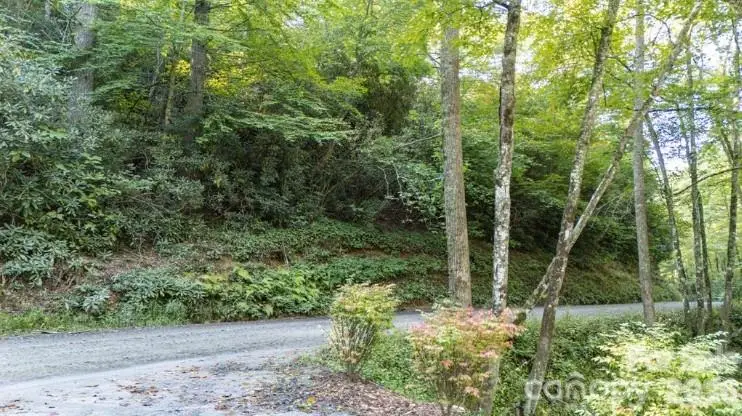 TBD Clear Creek Drive #17, Plumtree, NC 28657 - #3