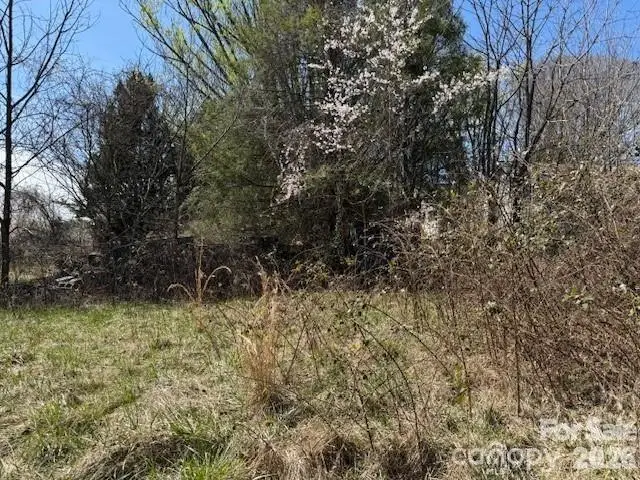 7 Pressley Branch Road, Arden, NC 28704 - #3