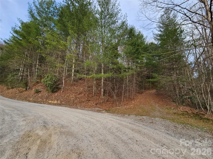 00 Wispy Willow Drive #22T, Waynesville, NC 28785 - #3