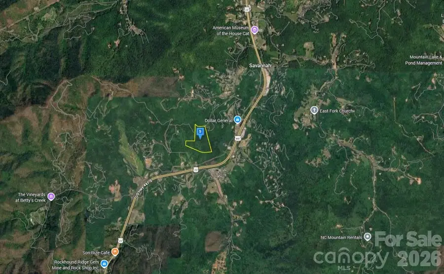 1200 N Star Lane S, Sylva, NC 28779 - #2