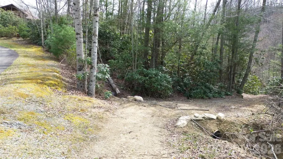 0000 Woodlake Loop Road, Elk Park, NC 28622 - #3