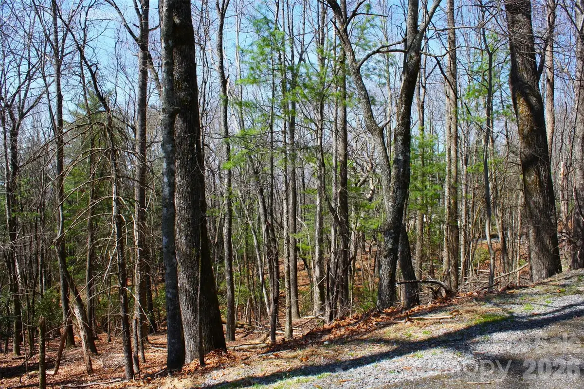 0000 Slick Rock Road, Brevard, NC 28712 - #1