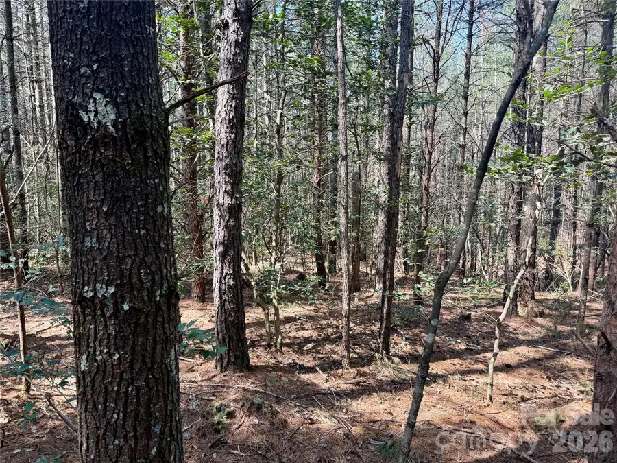 2494 Ivy Rays Way #41, Nebo, NC 28761 - #2