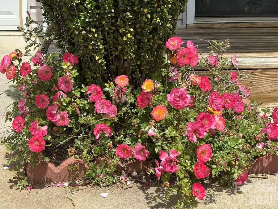 149 Alpine Ridge Drive, Asheville, NC 28803 - #3