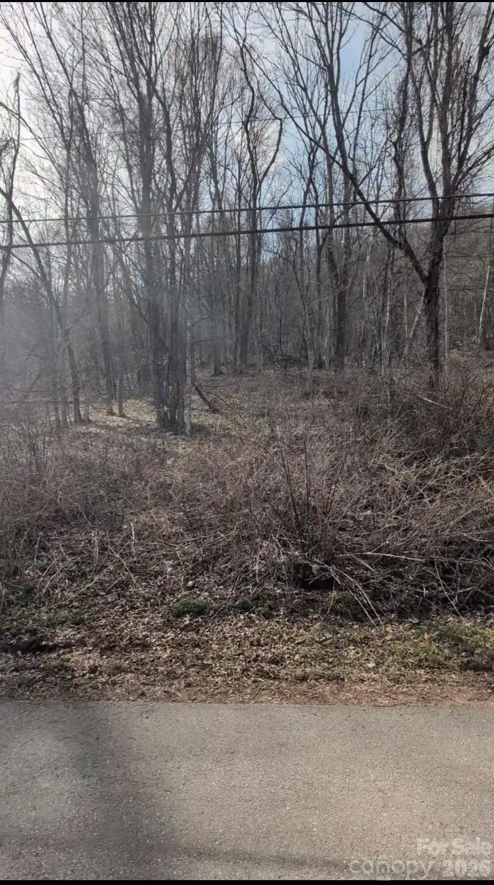 210 Apple Creek Road, Waynesville, NC 28786 - #1