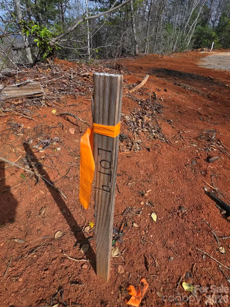 Lot 9 Kerlee Lane, Old Fort, NC 28762 - #2