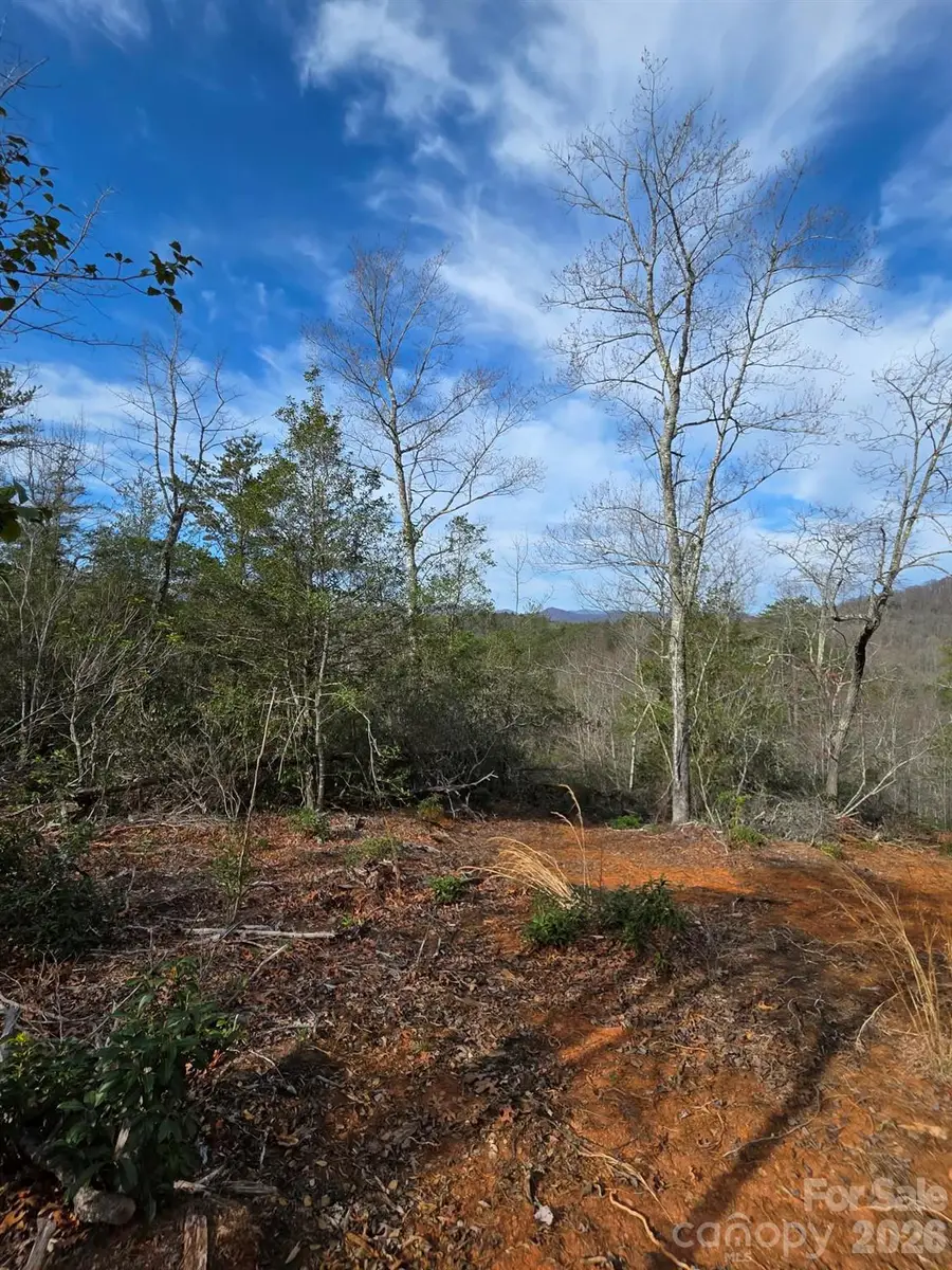 Lot 9 Kerlee Lane, Old Fort, NC 28762 - #3