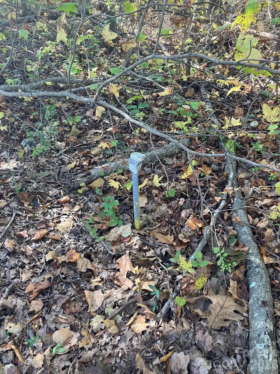 0 Poplar Lane Road, Albemarle, NC 28001 - #3