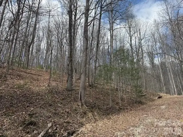 158 Chattooga Run #402, Hendersonville, NC 28739 - #1